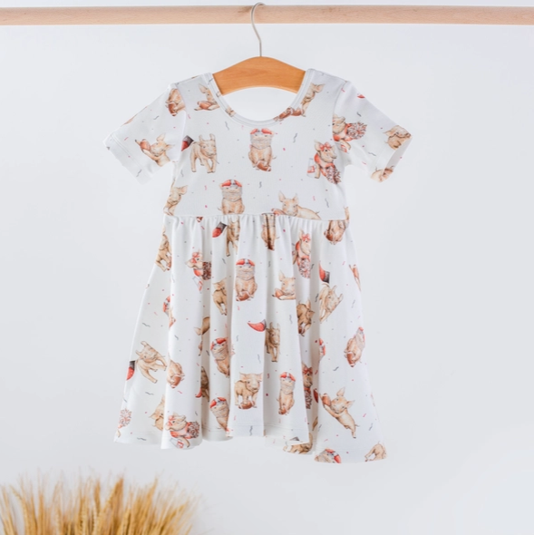 Mvp: Arkansas Organic Cotton Twirl Dress