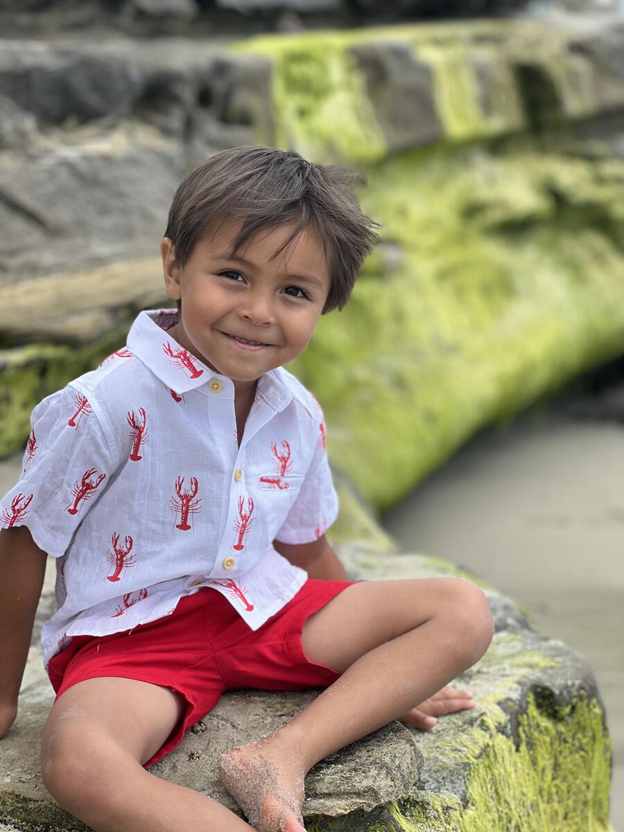 CRAWFISH BUTTON DOWN