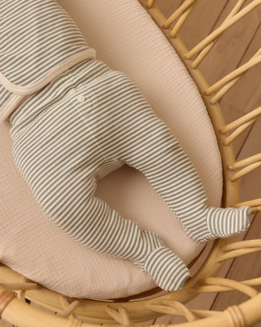 Take Home Set || Forest Stripe