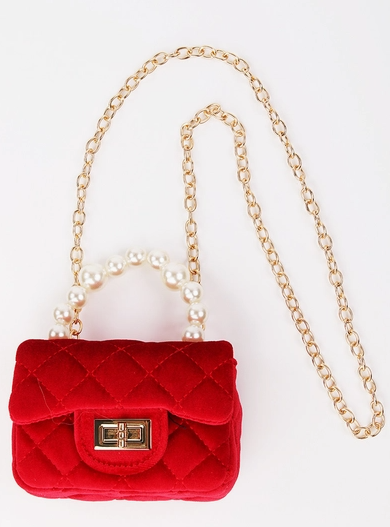 Velvet Purse with Pearl Handle