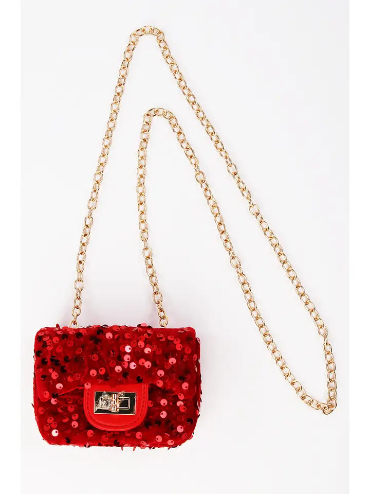 Sequin Purse