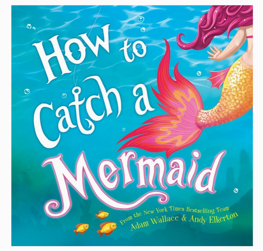 How to Catch a Mermaid Book