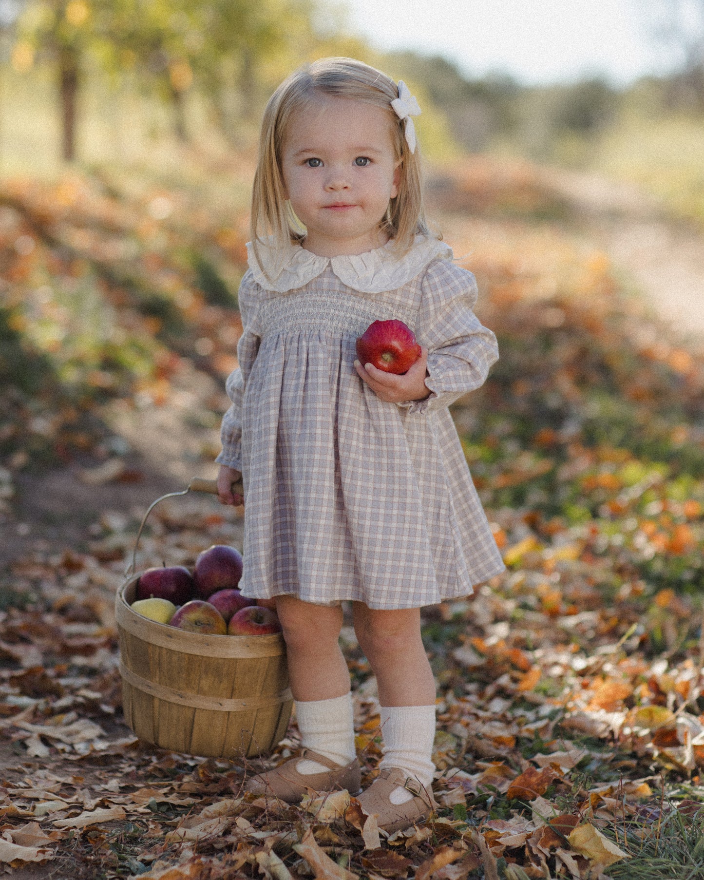 CALLIE DRESS BLUE GINGHAM