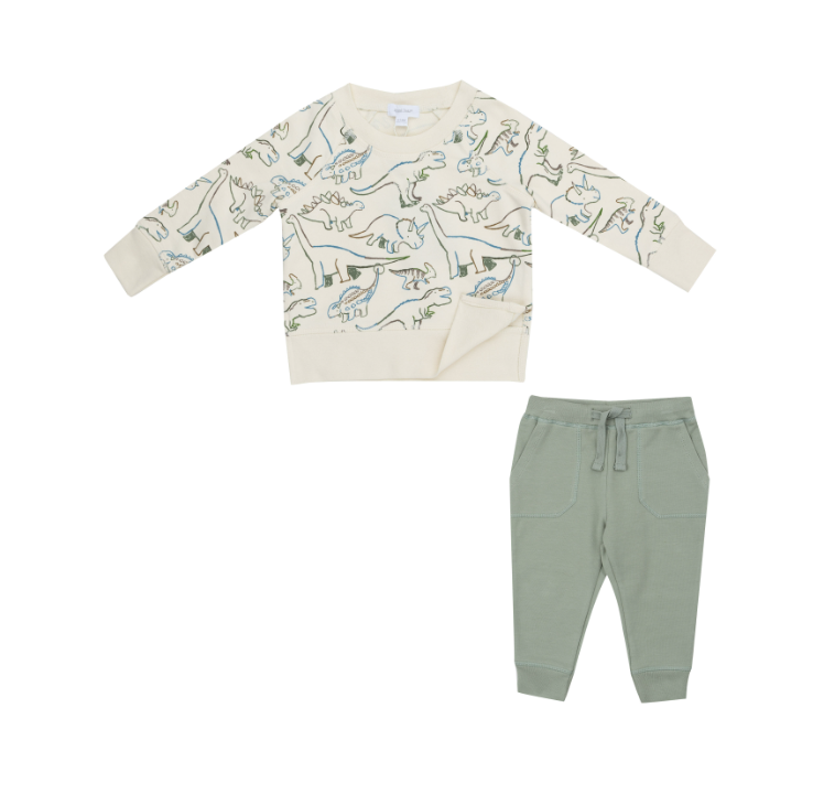 French Terry Artsy Dinos - Raglan Sweatshirt & Jogger Set