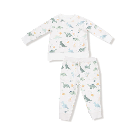 Soft Dinos - French Terry- Green - Raglan  Sweatshirt + Jogger Set