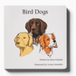Bird Dogs Children's Book