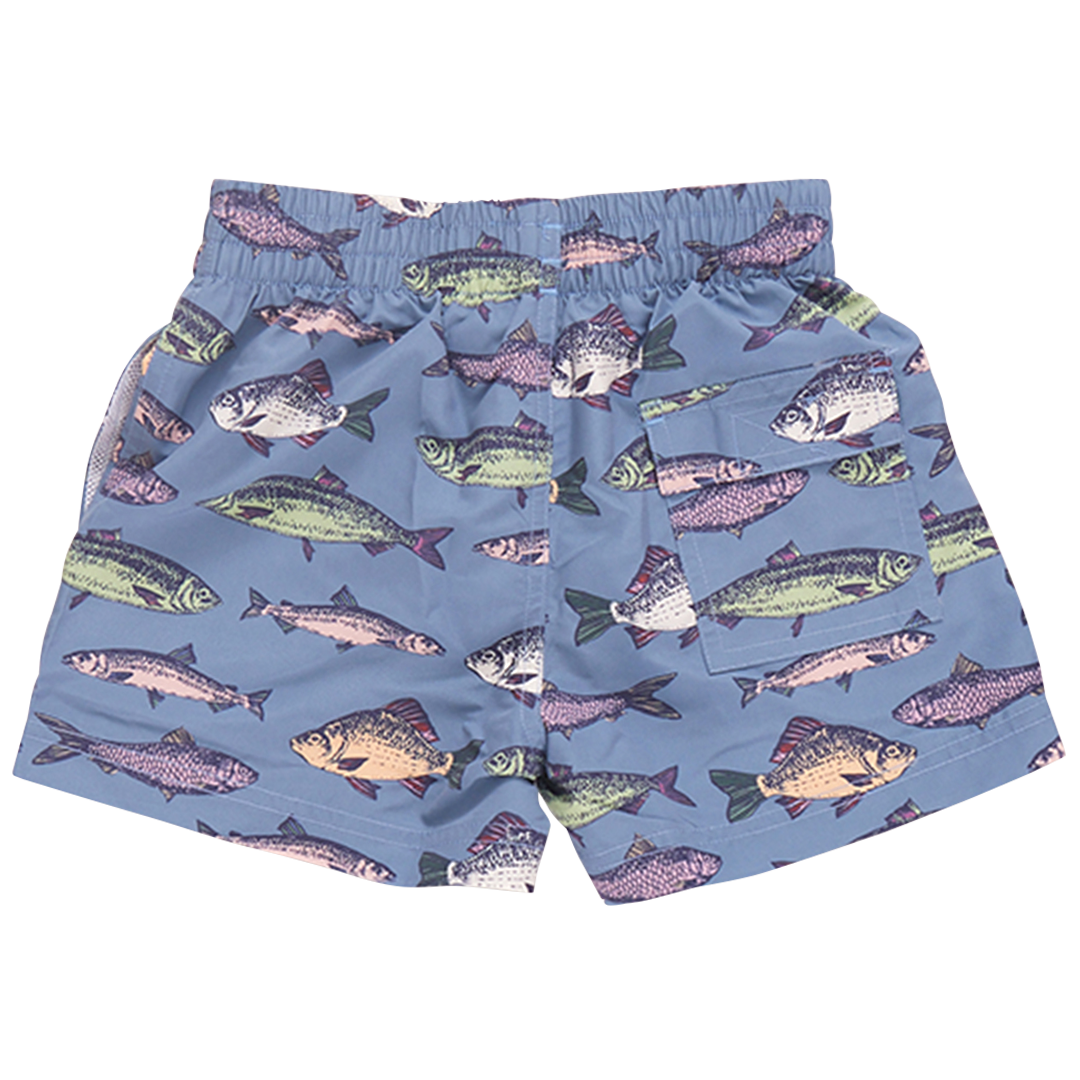 Boys Swim Trunk - Bluestone Multi Fishies