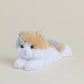 Calico Cat Warmies Junior