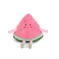 Watermelon Slice / Pink