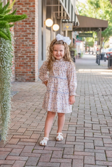 Zoe Pink and Blue Floral Dress